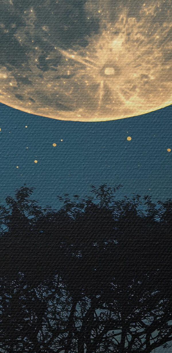 Copacul și luna pe cer Copacul și luna pe cer