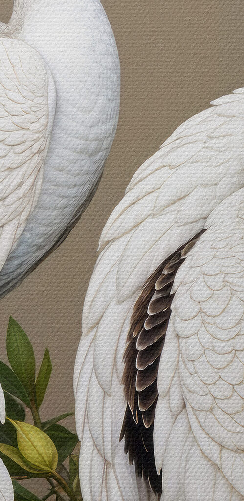 Couple of white peacocks on a branch with flowers Couple of white peacocks on a branch with flowers