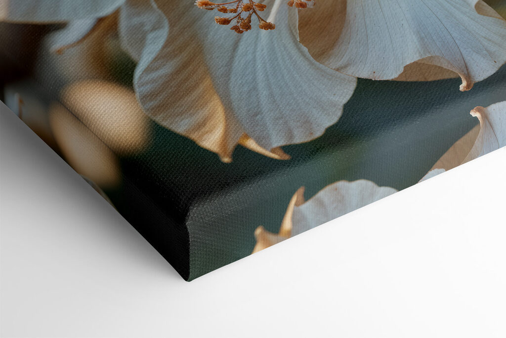 Elegant blooms in soft sunlight