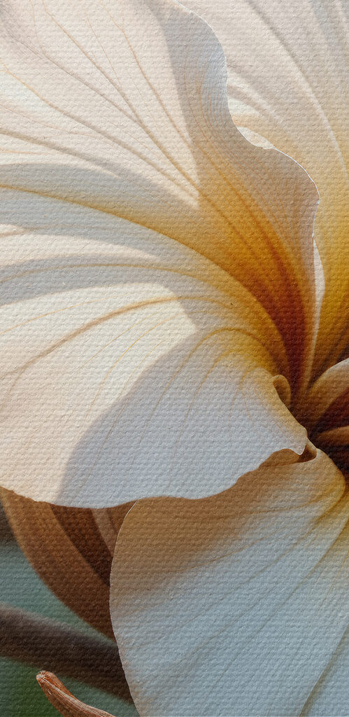 Elegant blooms in soft sunlight
