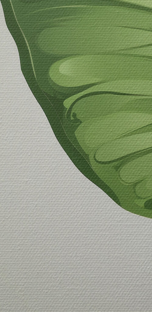 Green butterfly with wings Green butterfly with wings