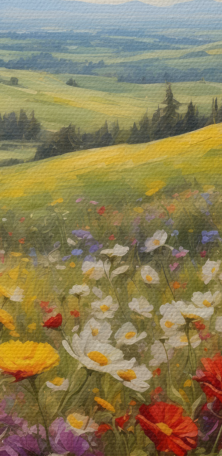 Câmp de flori colorate