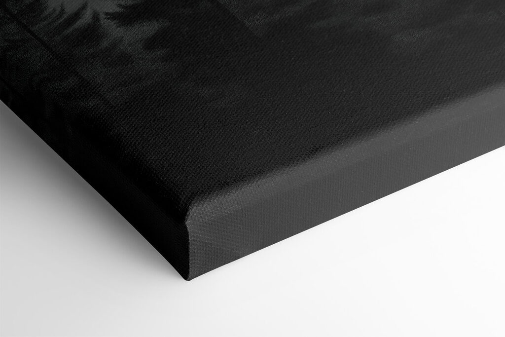 Group of trees in a forest