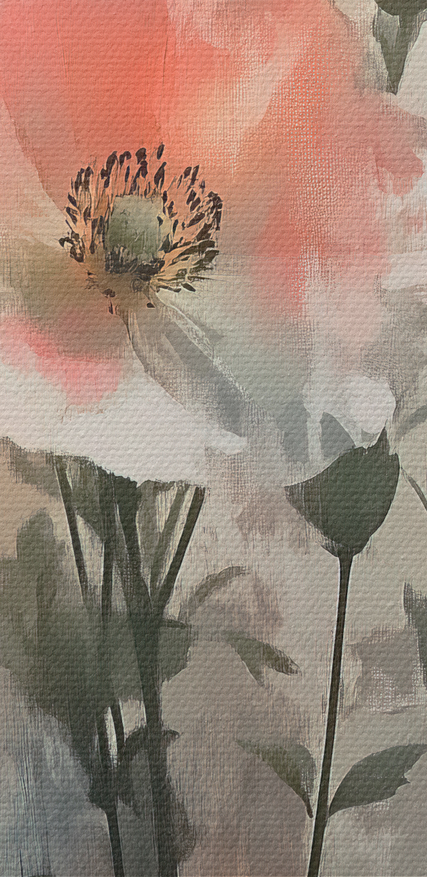 De aproape de flori