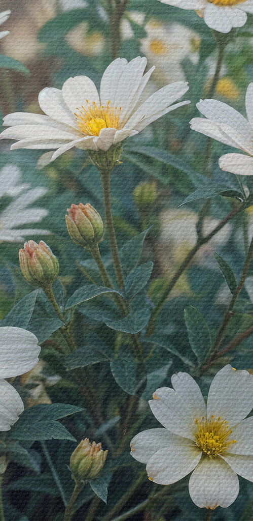 Group of white flowers