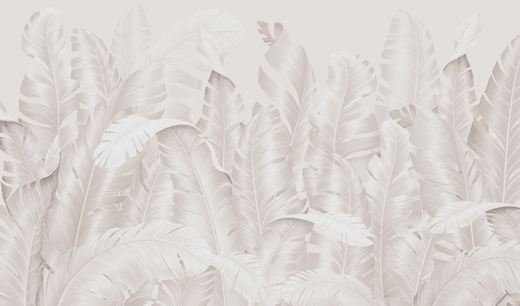 Group of white feathers