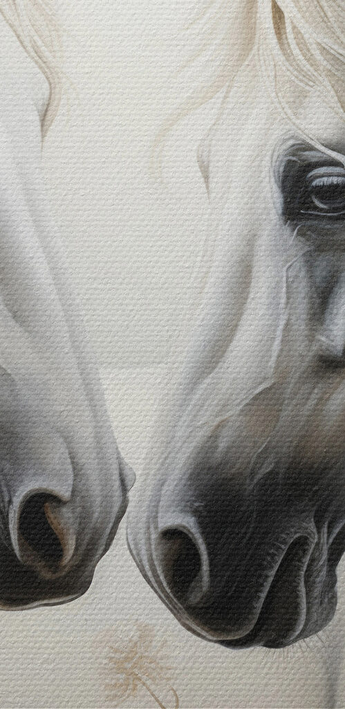 Two white horses with long manes Two white horses with long manes