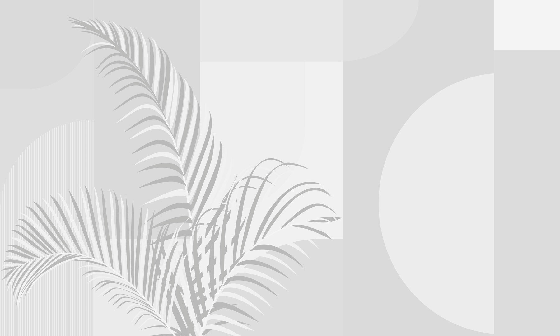Elegant palm leaves on soft background