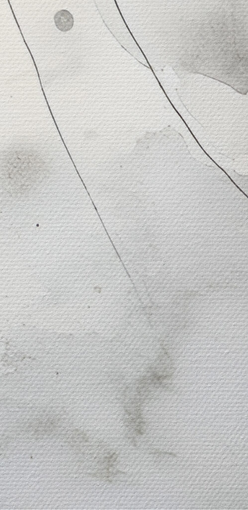 White and gray background