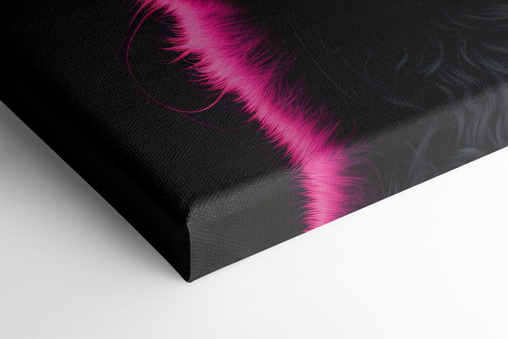 Black cat with pink hair