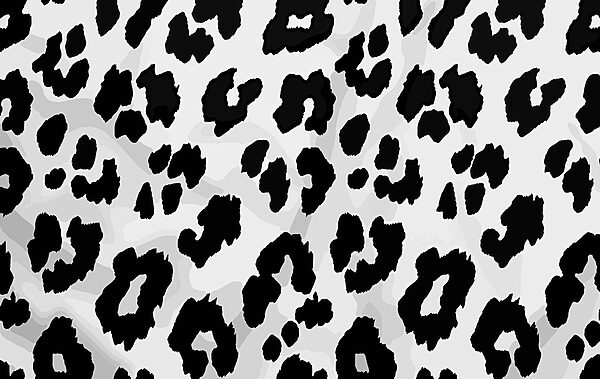 Close up de o piele de animal alb-negru Close up de o piele de animal alb-negru