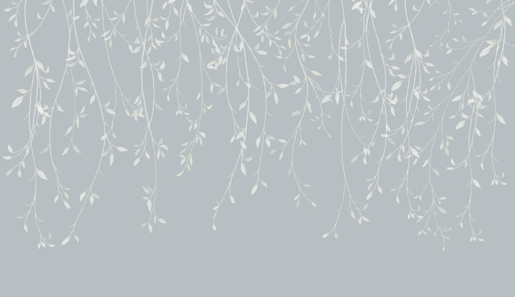 White branches with leaves on them White branches with leaves on them