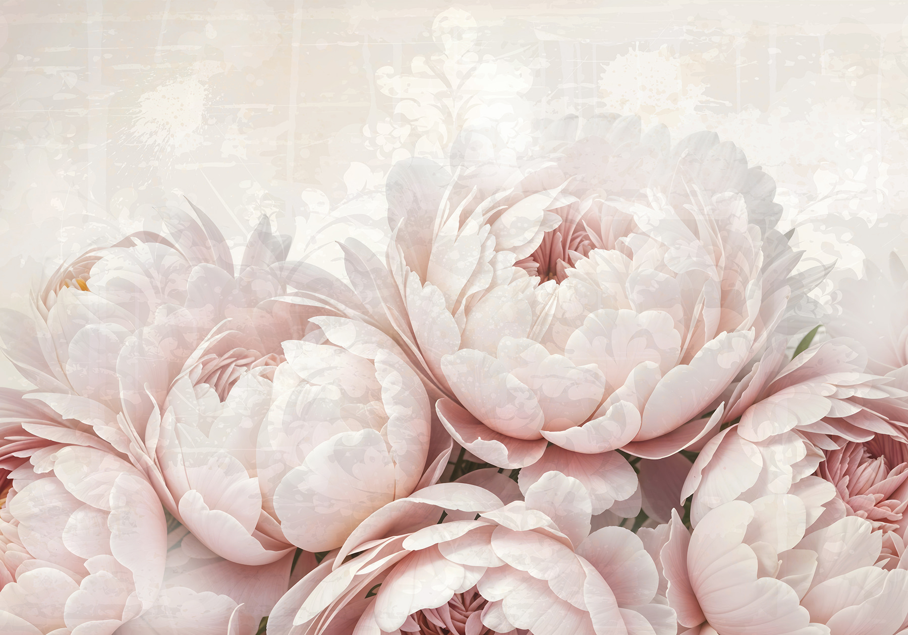 Group of pink flowers