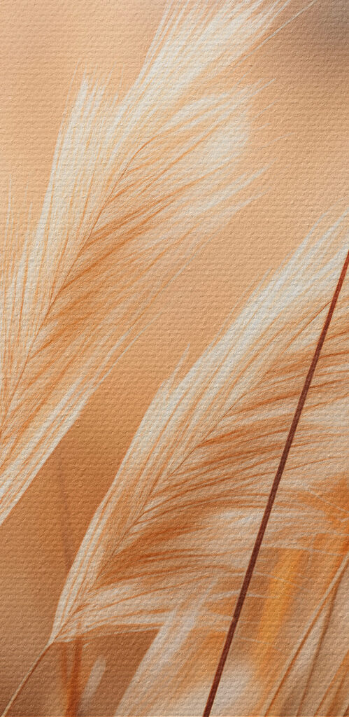 Warm sunlight on swaying grasses
