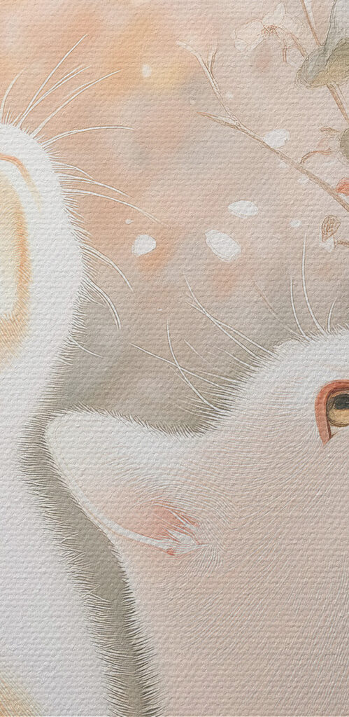 Two cats looking out a window Two cats looking out a window