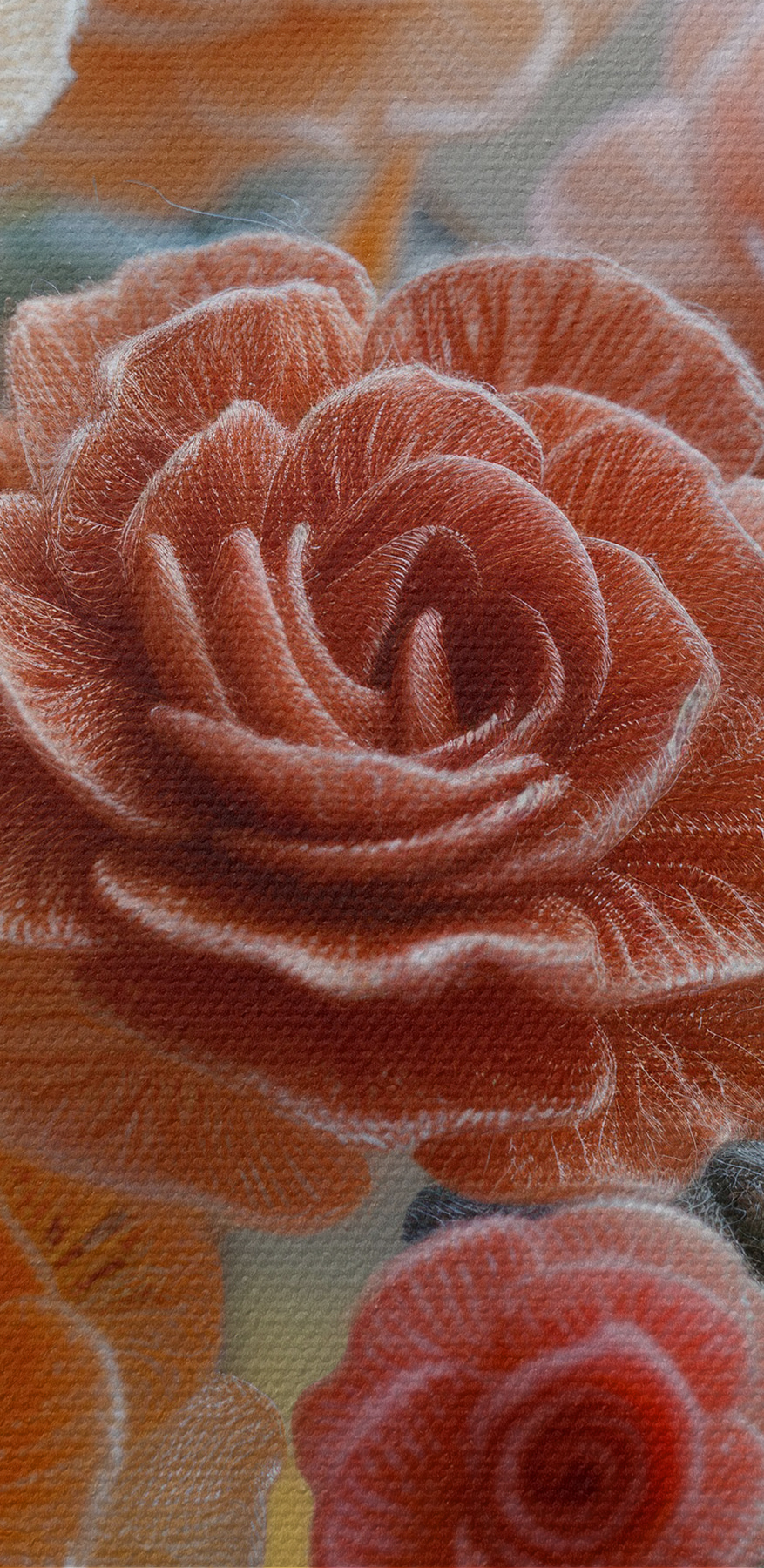 De aproape de flori