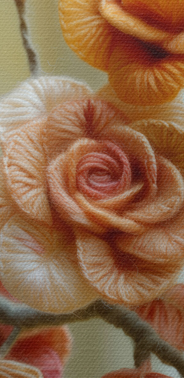 Vedere de aproape a unei flori Vedere de aproape a unei flori