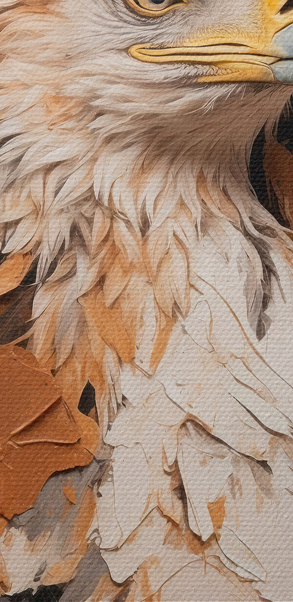 Pictura unui vultur Pictura unui vultur