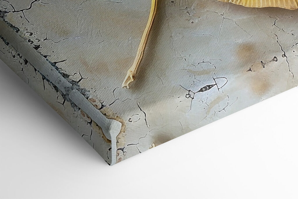 Yellow leaves on a white surface Yellow leaves on a white surface