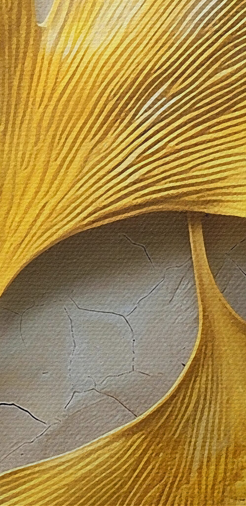 Yellow leaves on a white surface Yellow leaves on a white surface