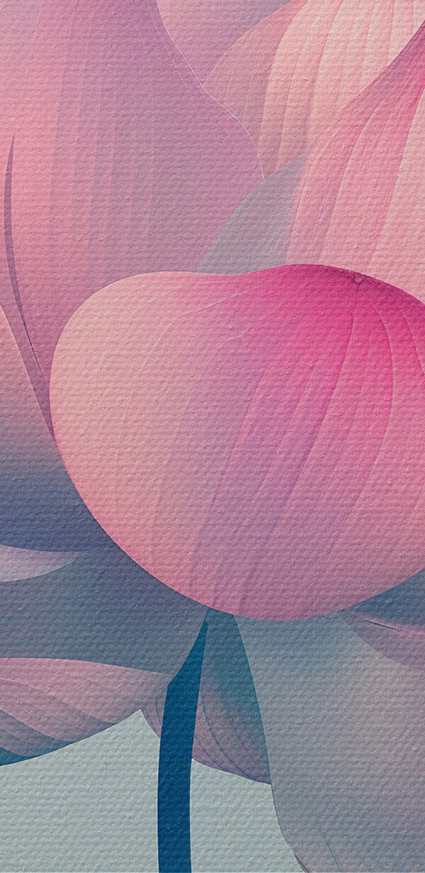 Floare roz și albă Floare roz și albă