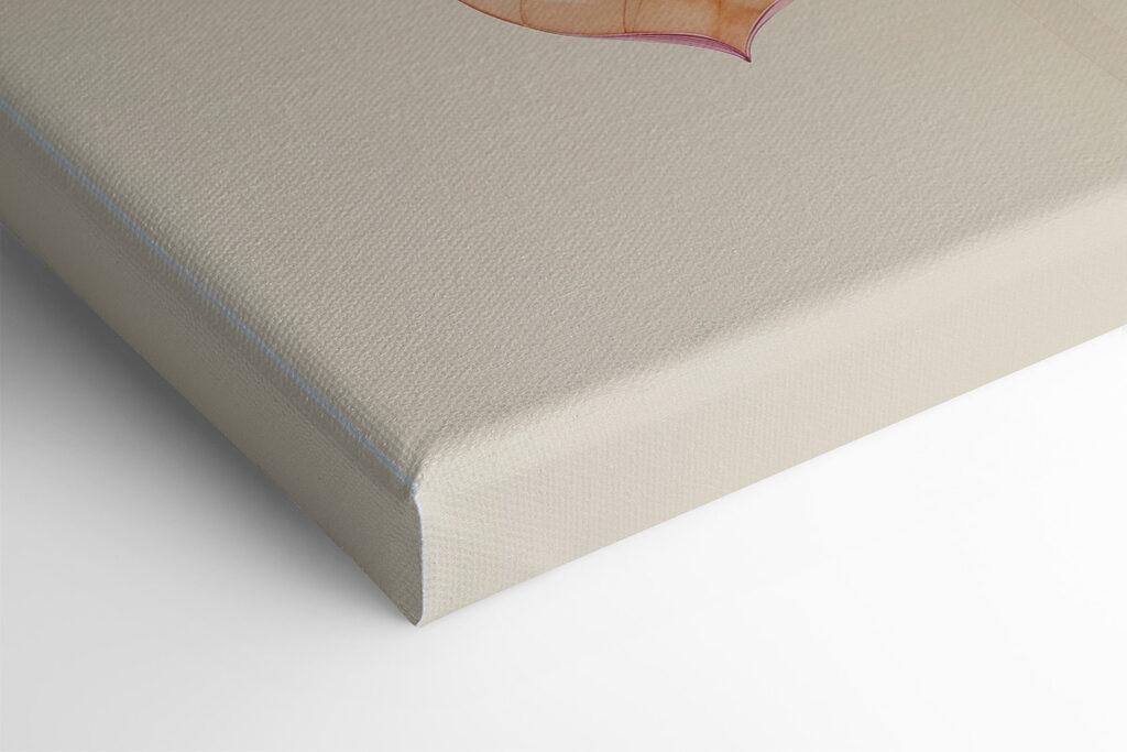 Close up of a flower Close up of a flower