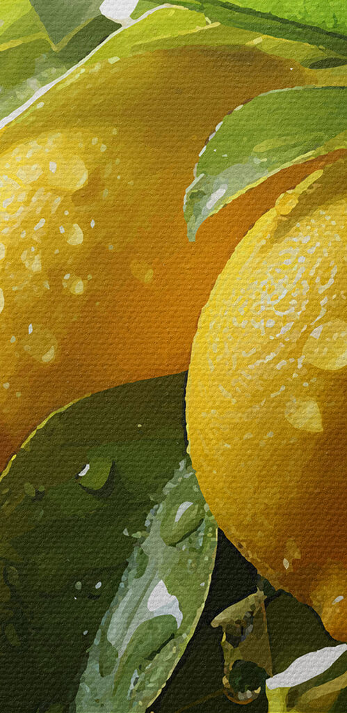 Group of lemons on a tree