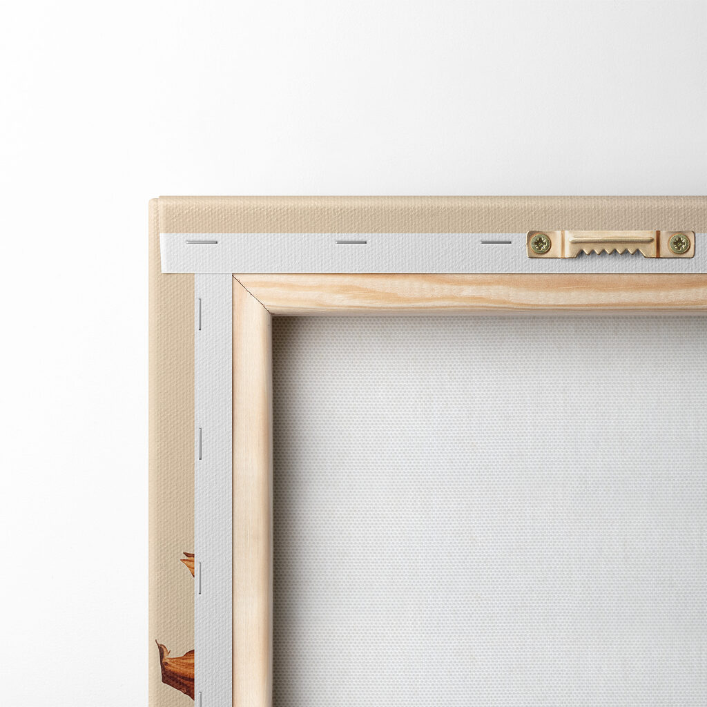 Sunflower with a brown center