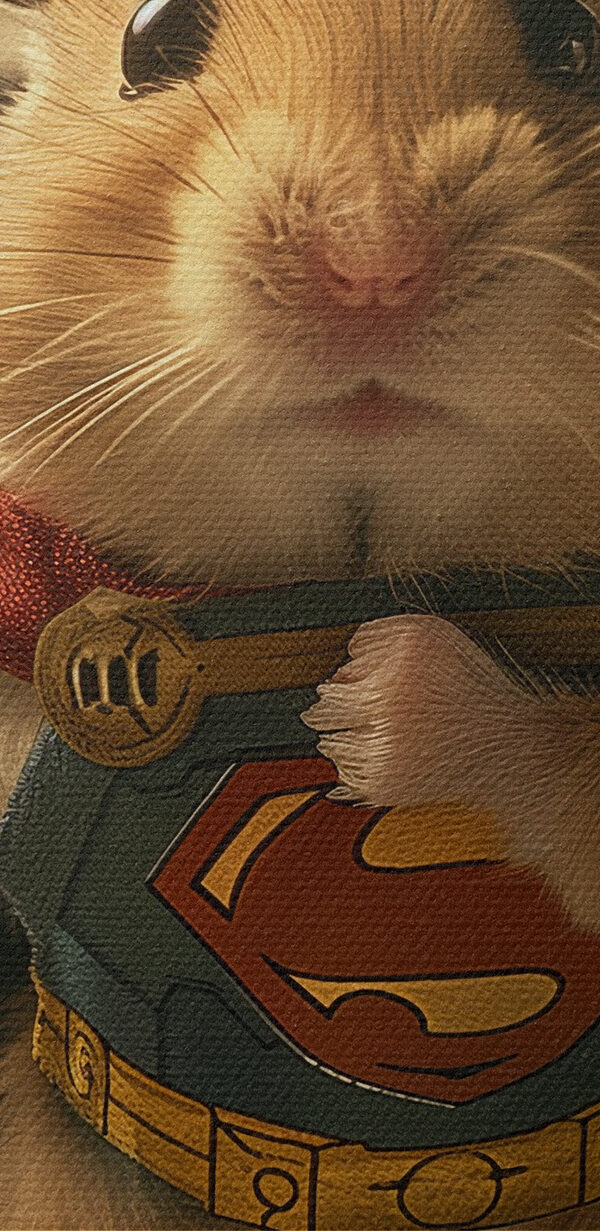 Hamster purtând o pelerină și ținând un ciocan Hamster purtând o pelerină și ținând un ciocan