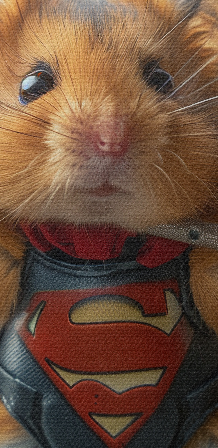 Hamster purtând un costum de supererou care ține o barbell