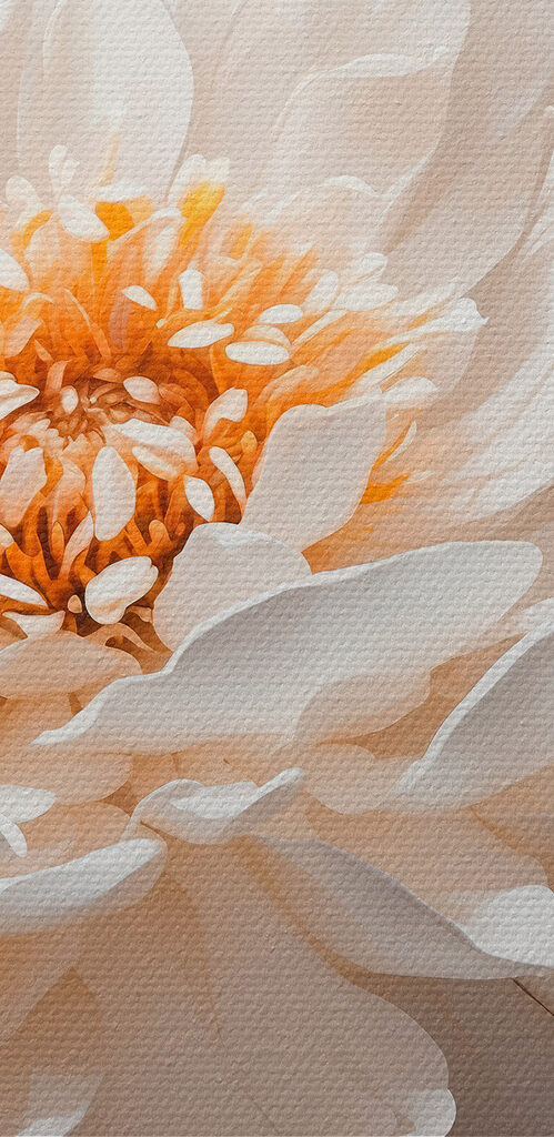 Close up of a white flower