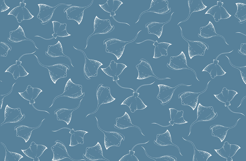 Fundal albastru cu stingrays alb Fundal albastru cu stingrays alb