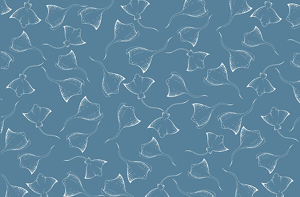 Fundal albastru cu stingrays alb Fundal albastru cu stingrays alb