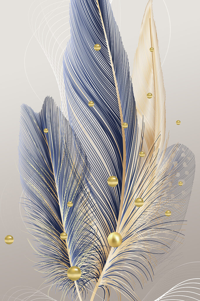 Close up of feathers Close up of feathers