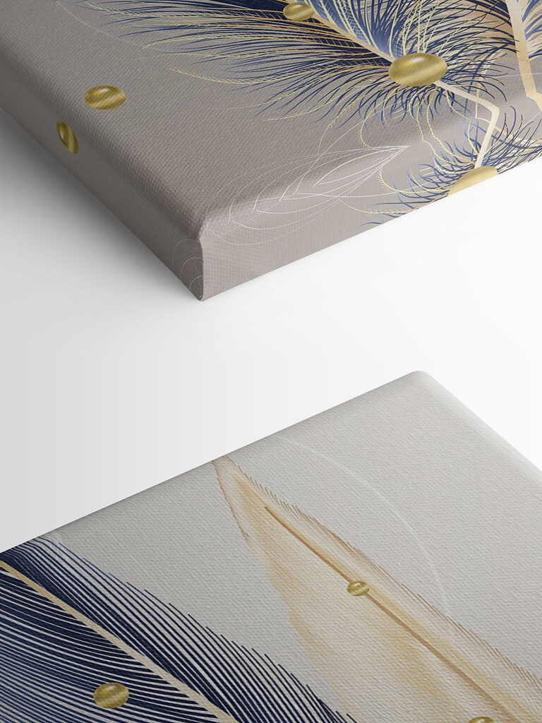 Close up of feathers Close up of feathers