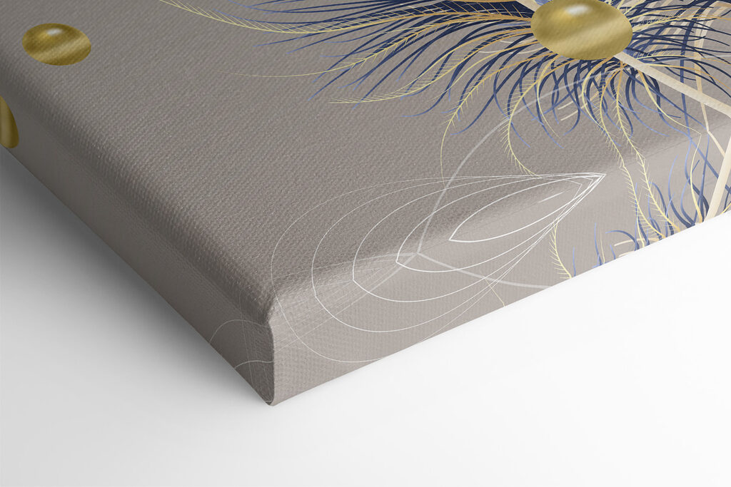 Close up of feathers Close up of feathers