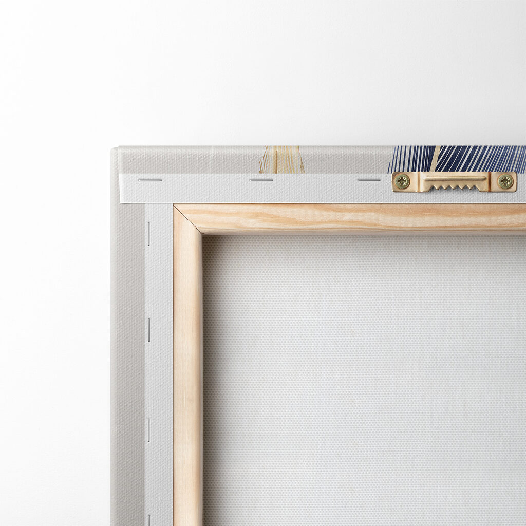 Close up of feathers Close up of feathers