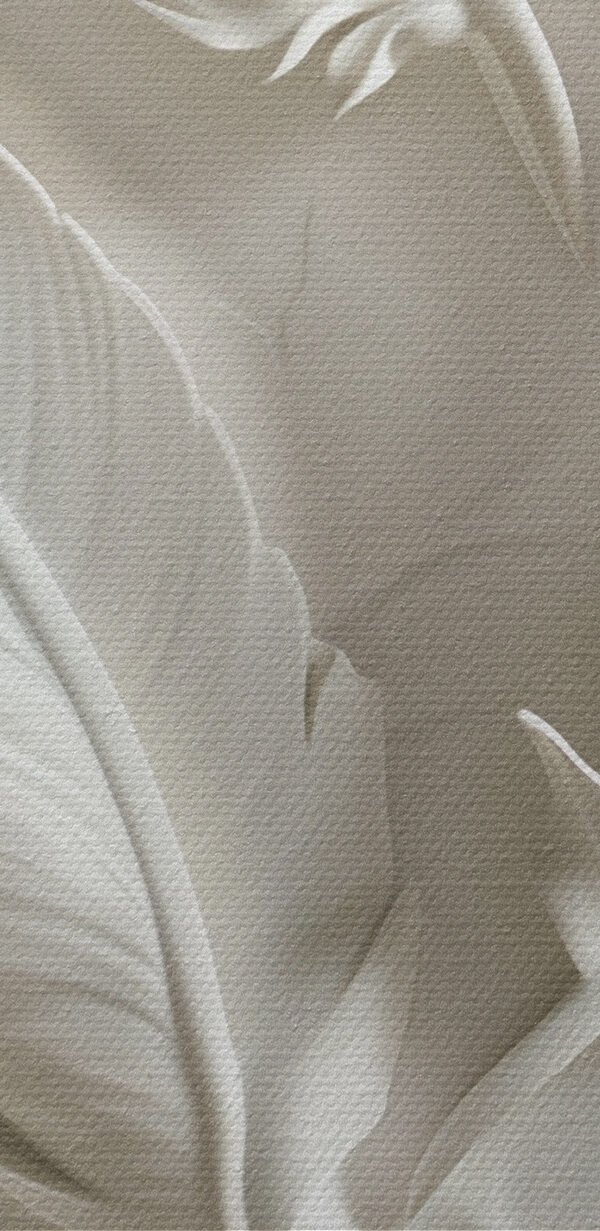 Pană albă sculptată pe un perete Pană albă sculptată pe un perete