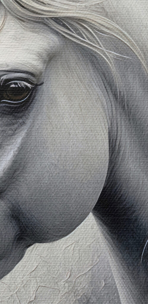 White horse with long hair