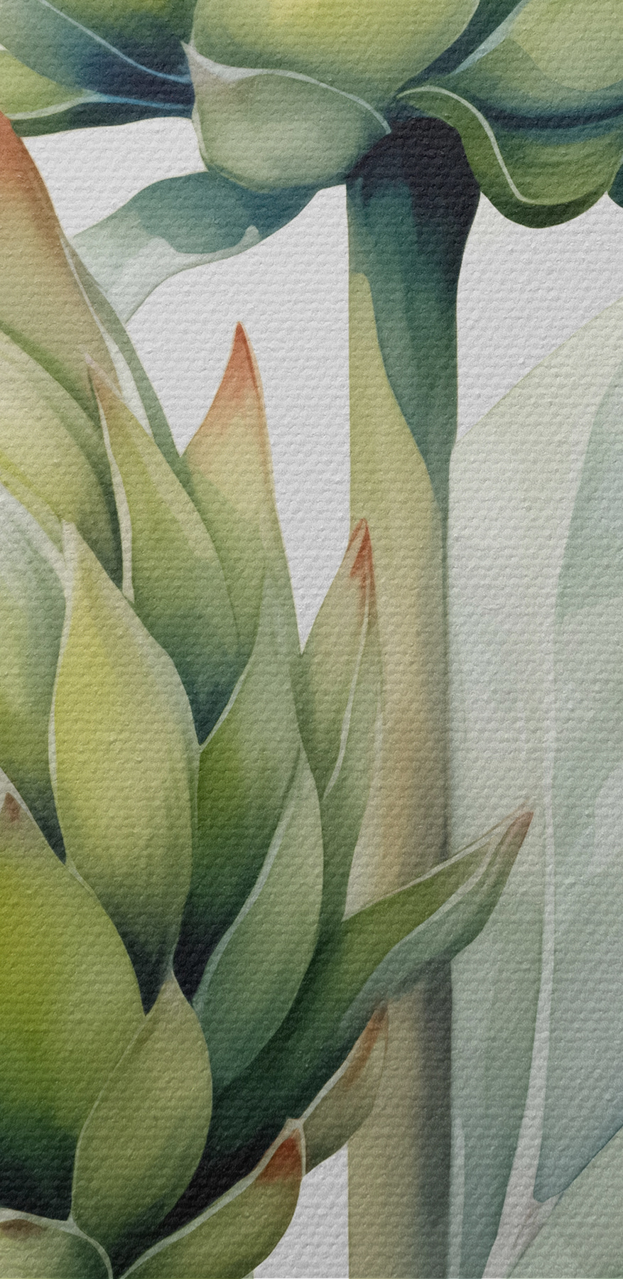 Vedere de aproape a unei plante Vedere de aproape a unei plante