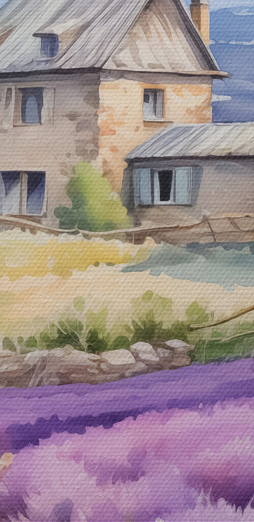 House in a field of lavender House in a field of lavender