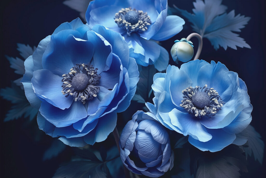 Group of blue flowers