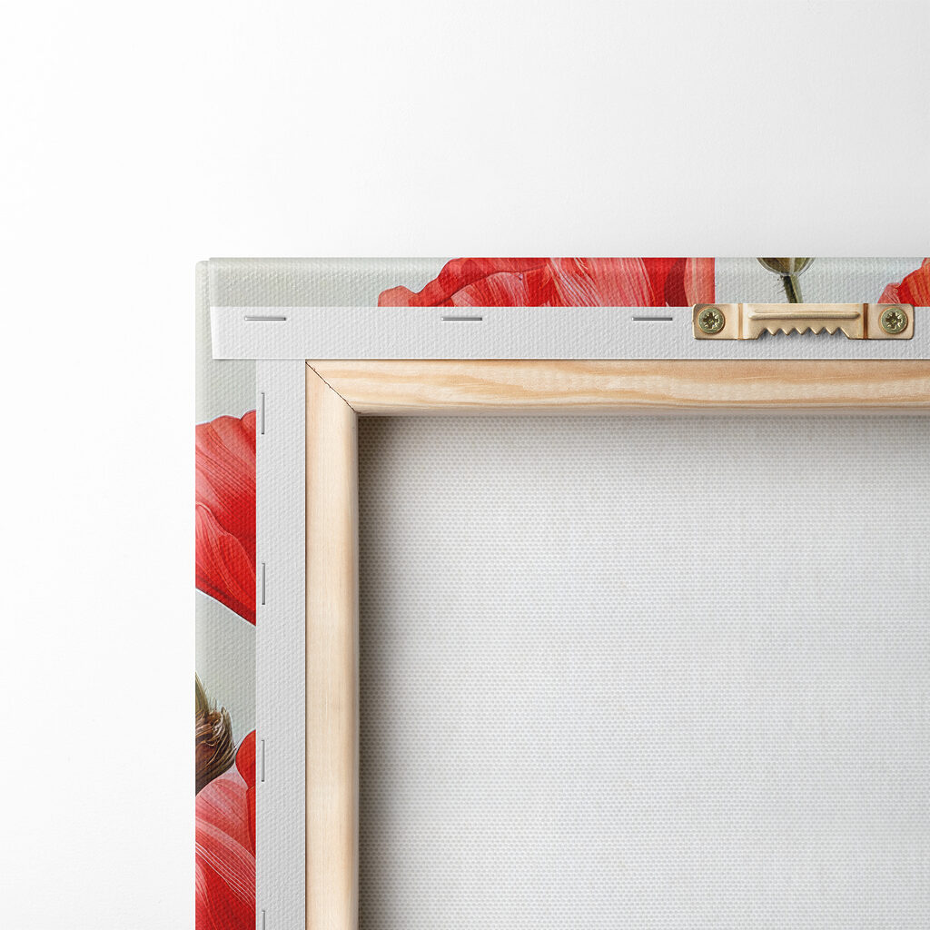 Group of red flowers Group of red flowers