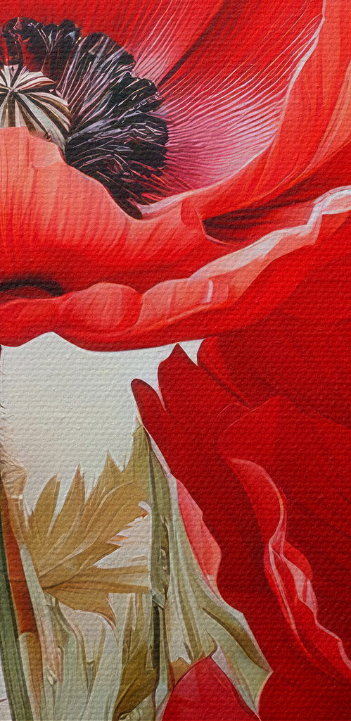 Group of red flowers Group of red flowers