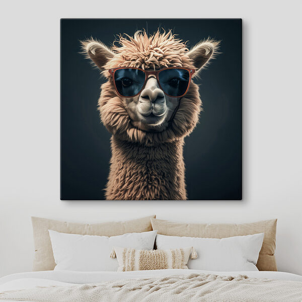 Llama poartă ochelari de soare Llama poartă ochelari de soare