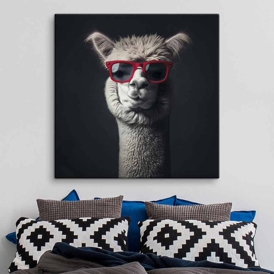 Llama poartă ochelari de soare roșii
