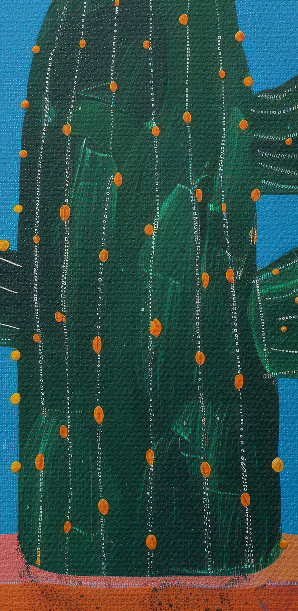 Pictura unui cactus cu flori Pictura unui cactus cu flori