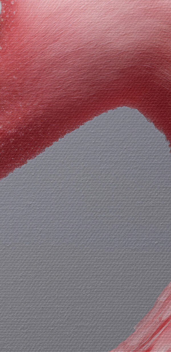 Close up de un flamingo roz Close up de un flamingo roz