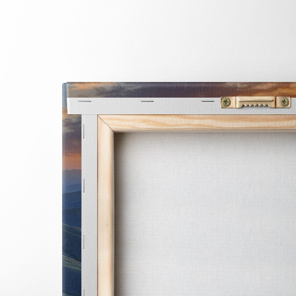 Field of flowers on a mountain Field of flowers on a mountain