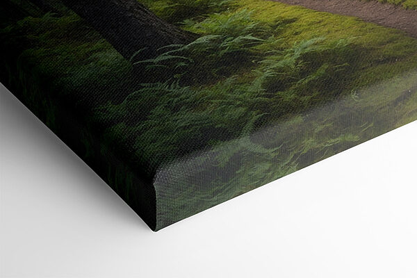 Drum de pământ printr-o pădure Drum de pământ printr-o pădure